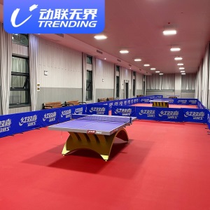 动联无界 乒乓球地胶 室内运动地胶 室内球馆地垫胶垫pvc运动地胶垫 专业升级型