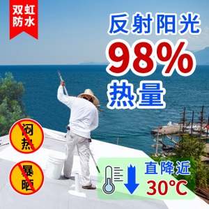 双虹屋顶防晒隔热顶楼楼顶防水隔热涂料楼面房顶阳光房平房顶彩钢瓦油漆铁皮瓦顶面反射外墙漆室外厂房晒不热 【白色】1KG