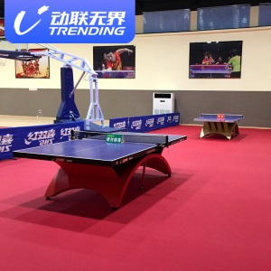 动联无界 乒乓球地胶 室内运动地胶 室内球馆地垫胶垫pvc运动地胶垫 专业升级型