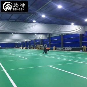 腾峙 TX-5135 羽毛球场地胶PVC运动地胶乒乓球场地胶垫室内运动地胶(不含运费安装费) 休闲系列荔枝纹3.5mm
