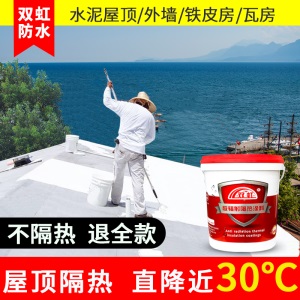 双虹屋顶防晒隔热顶楼楼顶防水隔热涂料楼面房顶阳光房平房顶彩钢瓦油漆铁皮瓦顶面反射外墙漆室外厂房晒不热 【白色】1KG