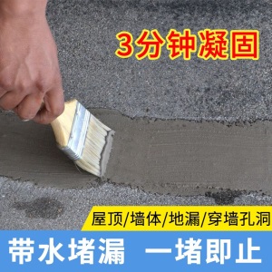 三青 堵漏王水不漏 快干水泥砂浆堵漏宝屋顶卫生间防水堵漏材料堵漏灵 速凝型 1000g