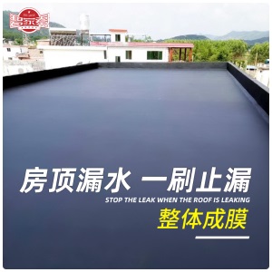 碧家索 生态液体防水卷材 楼顶防水补漏材料sbs沥青自粘防水卷材平房屋顶彩钢瓦屋面裂缝防水胶 2L