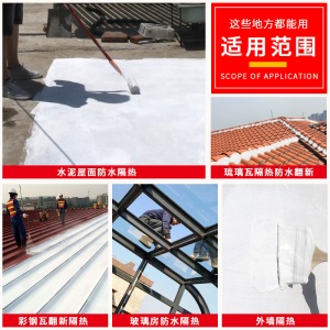 双虹屋顶防晒隔热顶楼楼顶防水隔热涂料楼面房顶阳光房平房顶彩钢瓦油漆铁皮瓦顶面反射外墙漆室外厂房晒不热 【白色】1KG