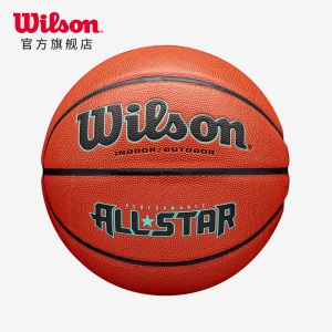 威尔胜 Wilson