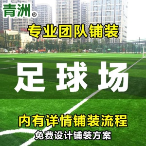 青洲 足球场草坪 承接小中大型工程 足球场人造草坪上门施工 仿真草坪 学校/公园/户外