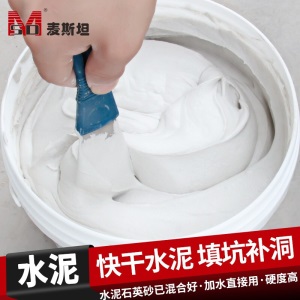 麦斯坦 散装水泥地面修补白水泥砂浆家用防水补漏快干速干胶堵漏王补墙面