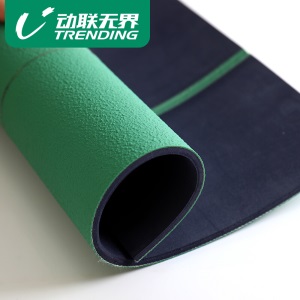 动联无界 TPU环保羽毛球运动地胶移动收卷羽毛球运动场地地垫 DL-TPU-EF1
