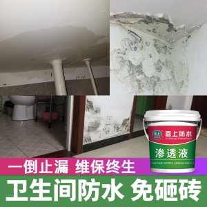 嘉上 卫生间防水免砸砖渗透剂厕所防漏水涂料堵漏王瓷砖补漏防水材料胶