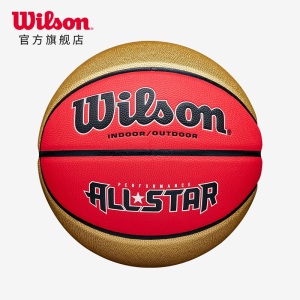 威尔胜 Wilson