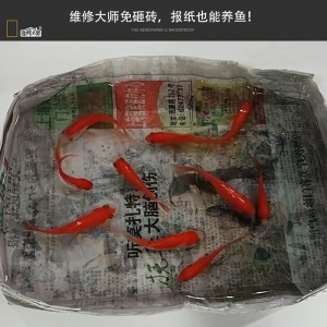 维修大师 透明防水剂胶渗透型免砸砖卫生间补漏材料堵漏王防水涂料
