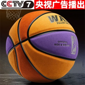 正品韦德/wade 篮球真皮质感室内 室外水泥地耐磨软皮7号比赛蓝球 7号 5号