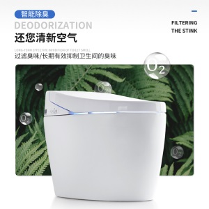 德国惠鹏卫浴 (HPCC) 智能马桶家用即热一体式暖风烘干全自动翻盖智能遥控坐便器 (8009)高性价比脚感智能冲水款