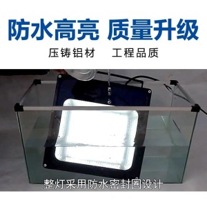 工程照明灯强光照明灯超亮380v大功率广场灯篮球场led照