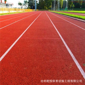 新国标老国标 塑胶跑道施工 全塑型塑胶 epdm塑胶 透气 混合跑道
