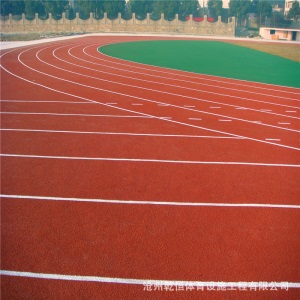 新国标老国标 塑胶跑道施工 全塑型塑胶 epdm塑胶 透气 混合跑道