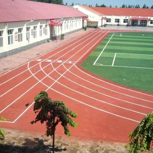 施工销售塑胶跑道 透气型混合型全塑型 学校运动场地塑胶跑道材料