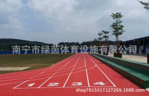 广西塑胶跑道  橡胶跑道 透气型跑道 混合型跑道 自结纹跑道施工