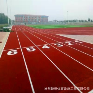 新国标老国标 塑胶跑道施工 全塑型塑胶 epdm塑胶 透气 混合跑道