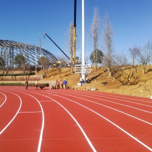 厂家新国标塑胶跑道学校操场混合型全塑型预制型透气型橡胶跑道