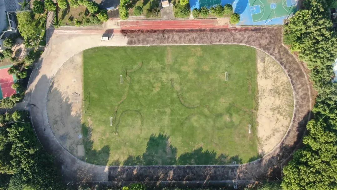马卡龙跑道，爱了爱了丨中山市古镇高级中学这条塑胶跑道出圈了(图11)