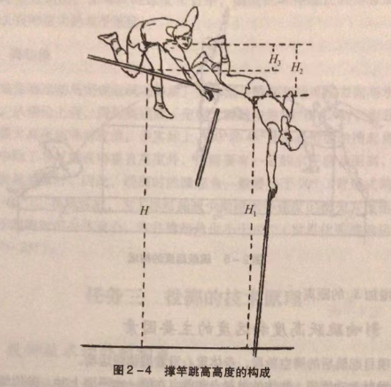 撑杆跳高高度的构成