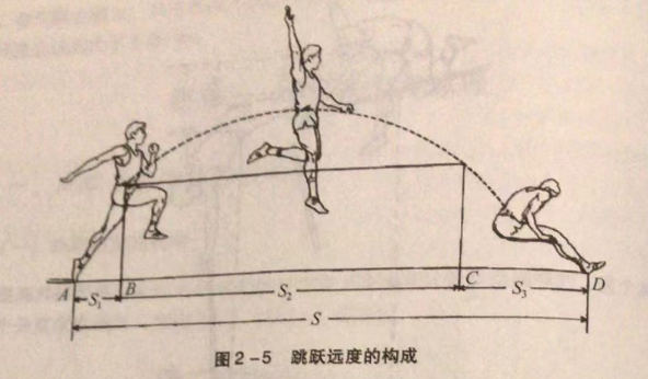 跳跃远度的构成