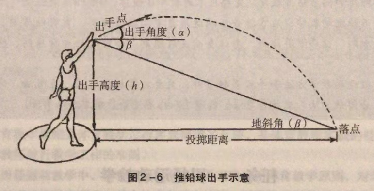 投掷的技术原理(铅球,标枪,铁饼,链球)-中山南方体育设施工程有限公司官方网站